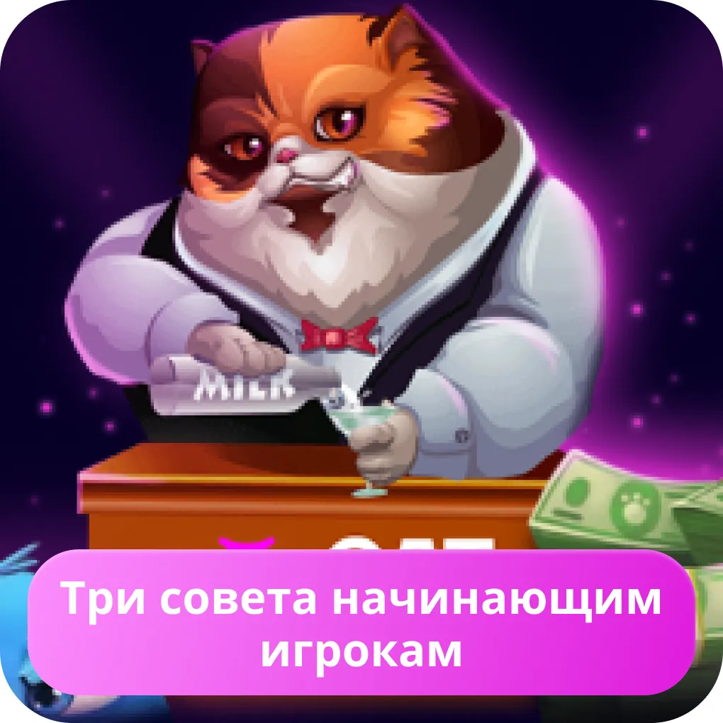 cat casino